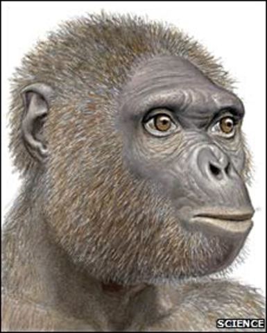Ardipithecus Ramidus. 4 ma