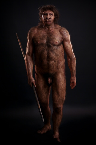 HOMO HEIDELBERGENSIS