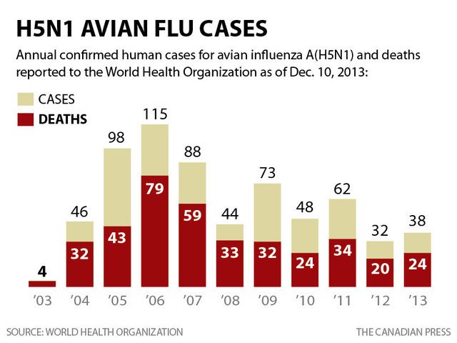 Avian Flu Vaccine