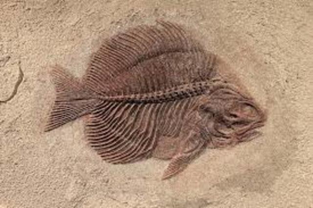 nascita della geologia