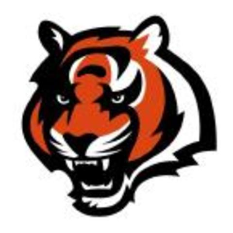 Became Coach at Bay High