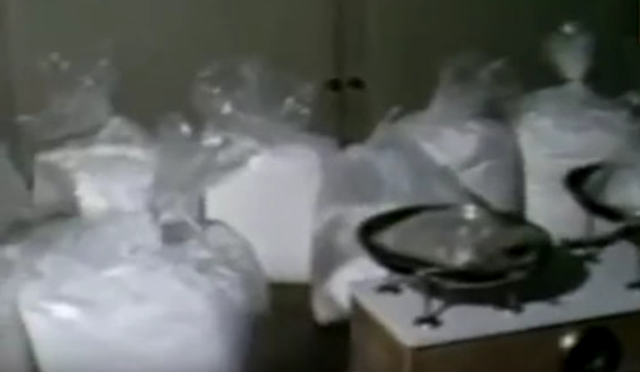 Empieza el narcotráfico mafioso