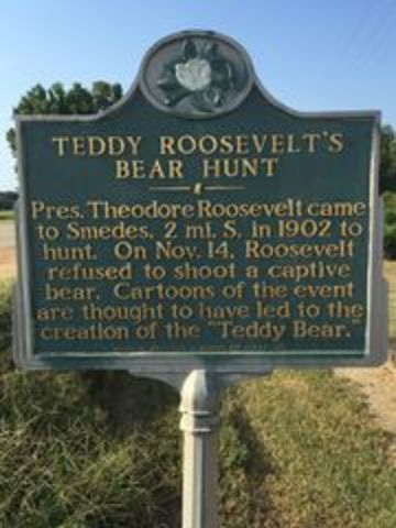 Encounters bear cub while hunting