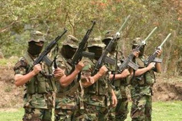 Organización del paramilitarismo