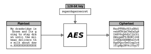 Advanced Encryption Standard (AES)