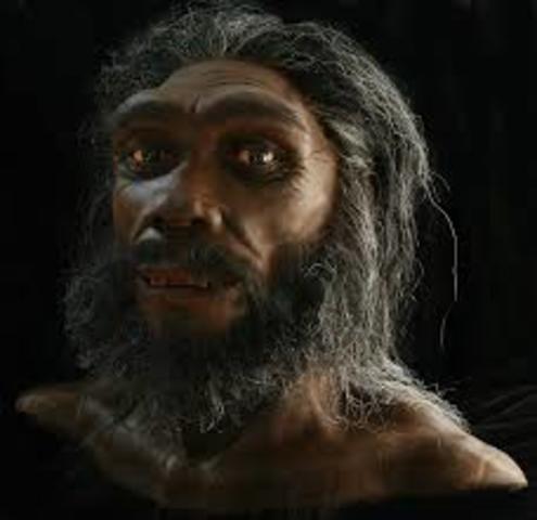 HOMO HEIDELBERGENSIS
