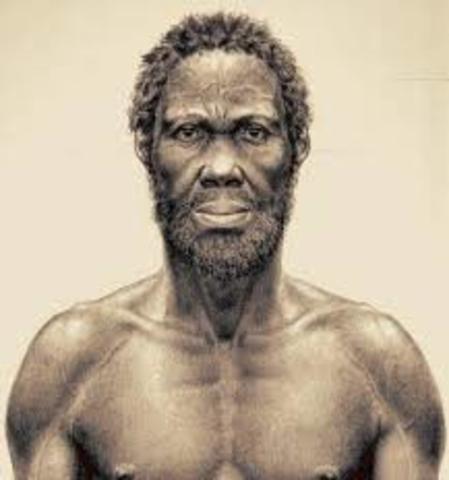 HOMO SAPIENS SAPIENS