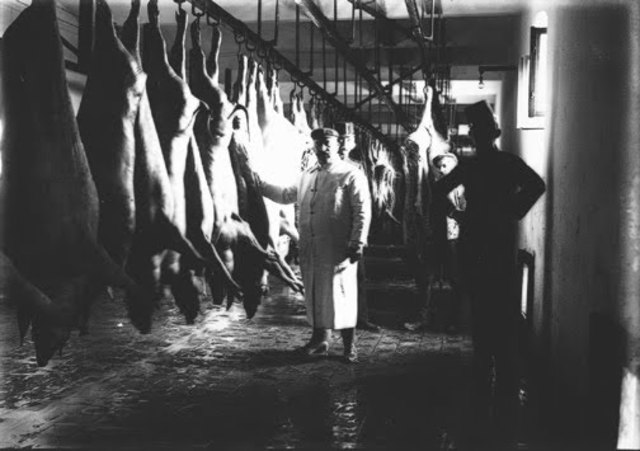 Meat inspection act