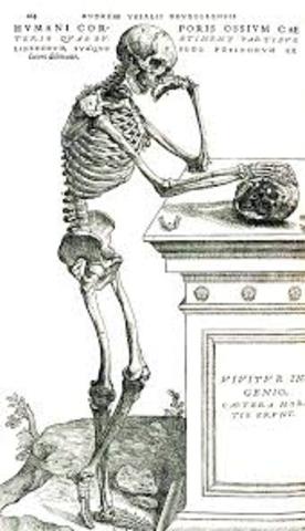 andrea vesalio e gerolamo fracastoro