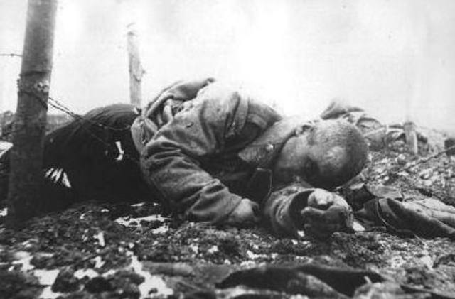 World War 1: The Effects