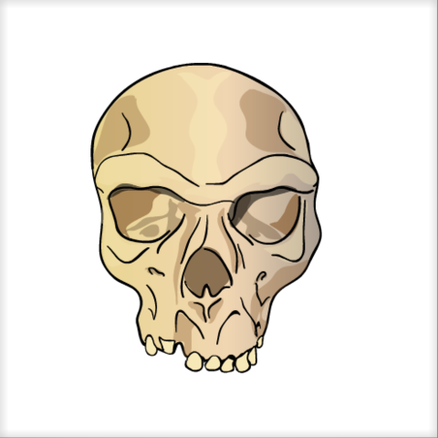 Homo Heidelbergensis