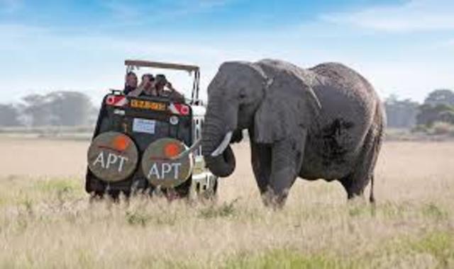 Roosevelt Leaves presidency and visits Africa