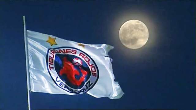 Amor por Tiburones Rojos