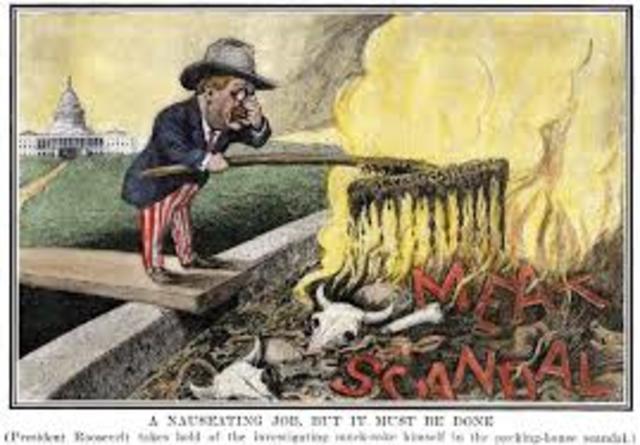 Meat Inspection Act was passed