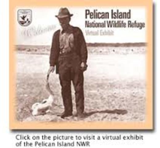 pelican island