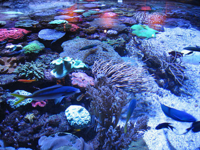 Suvimos el colage a nuestro blog.