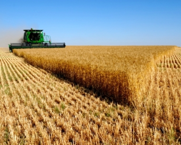 landbouw levert meer