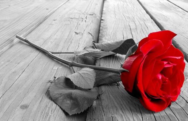 La renaixença i el romanticisme