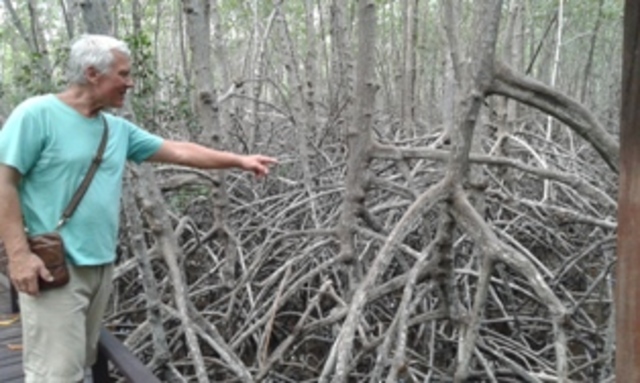 Новое событие