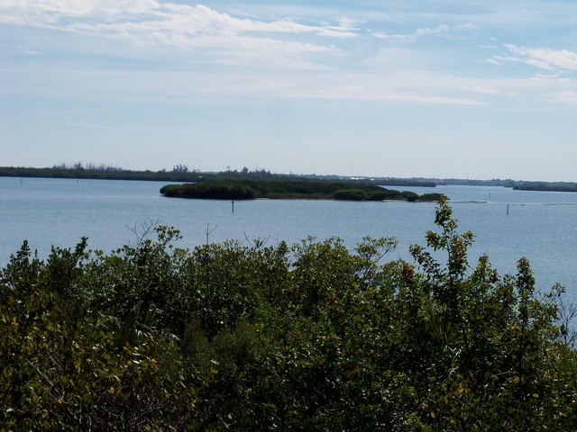 Pelican Island, Florida named first national wildlife refuge