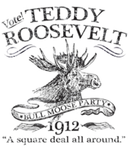 Bull-Moose Party