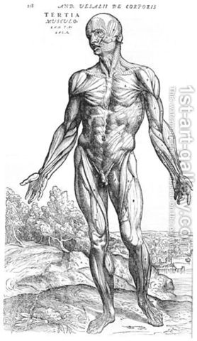 Andreas Vesalius