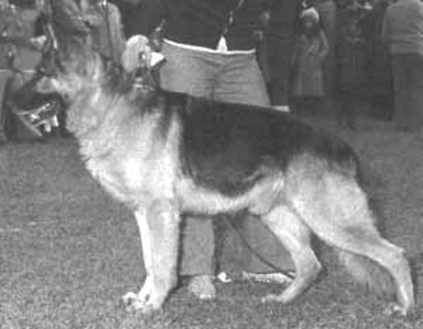 Мутц фон Пельцтирфарм