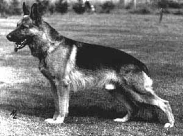 Канто фон дер Винерау