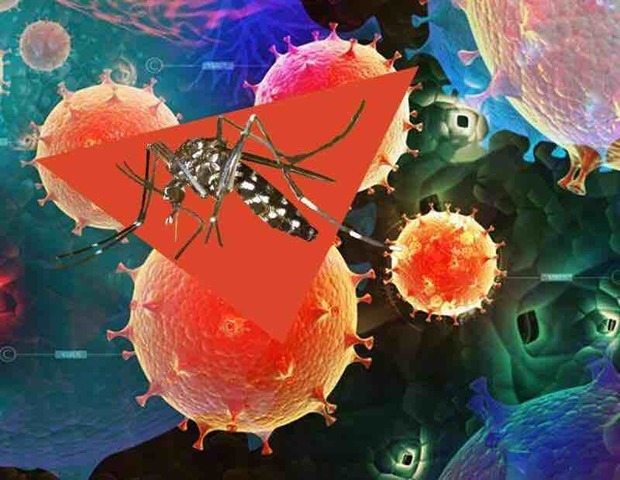 WHO Declares Public Health Emergency