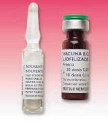 VACUNA CONTRA LA TUBERCULOSIS