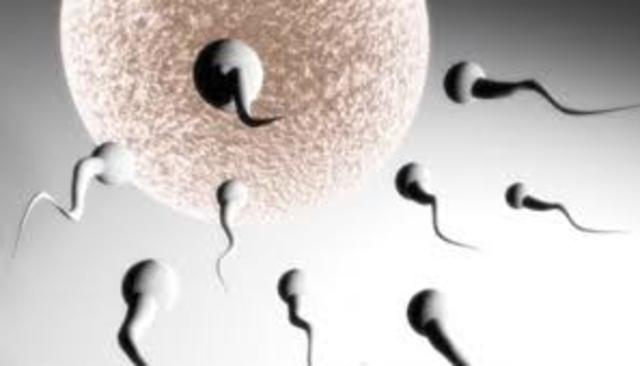 control de natalidad