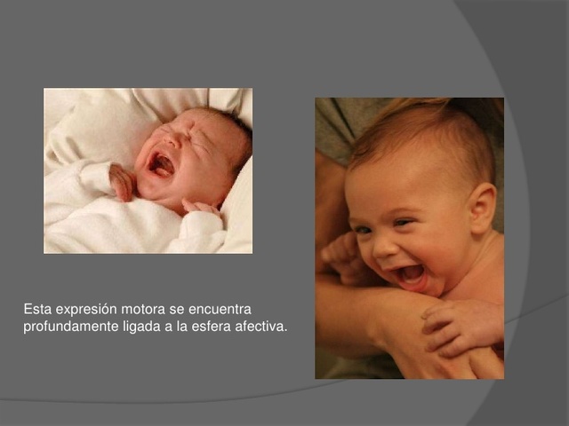 DIALOGO TONICO- EMOCIONAL