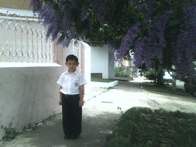 Primer día en Primero primaria