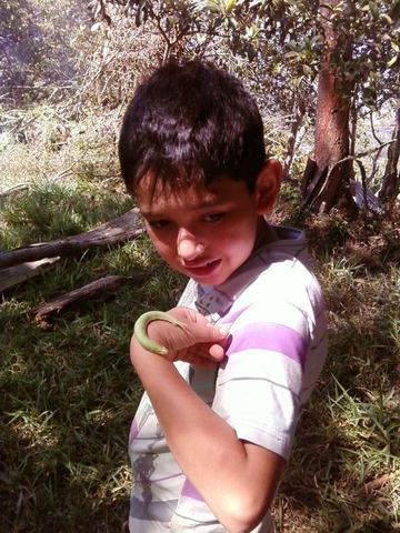 Aprendiendo de la naturaleza