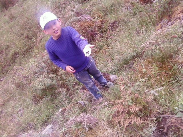 Recogiendo frutos silvestres