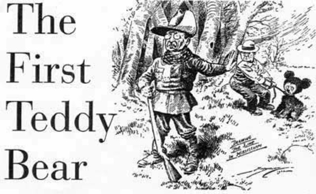 Bear club nicknamed "teddy"