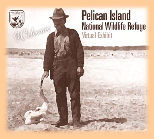 pelican island