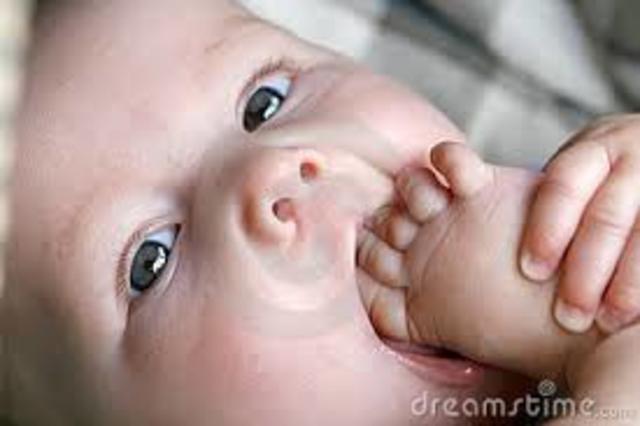 first two years cognitive