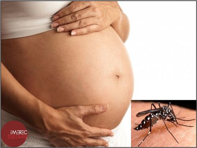 Novos estudos reforçam elo de zika e microcefalia