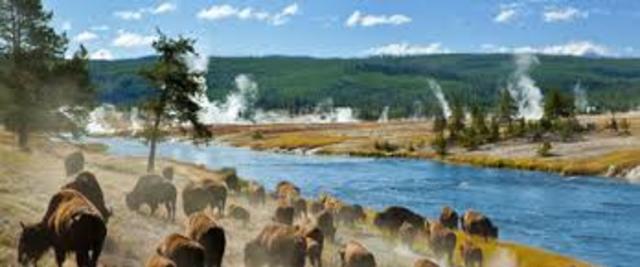 Yellowstone Park