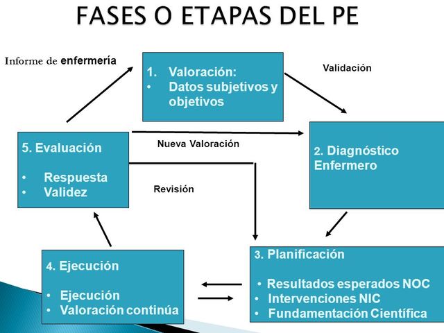 Seis pasos en el proceso de enfermería