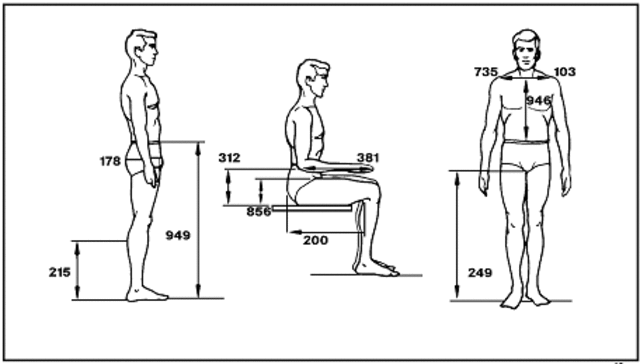 Anthropometric Measurements