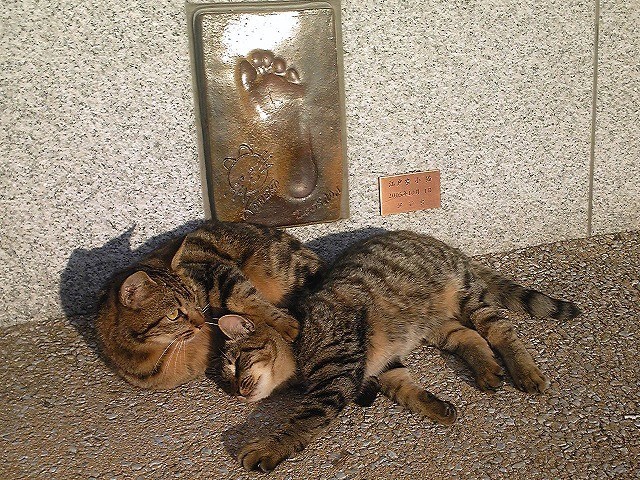 Day 5, Hiroshima, Japan