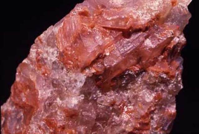 385 Million Years Ago