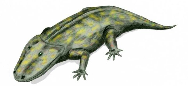 355 Million Years Ago