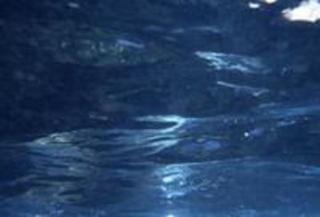 213 Million Years Ago