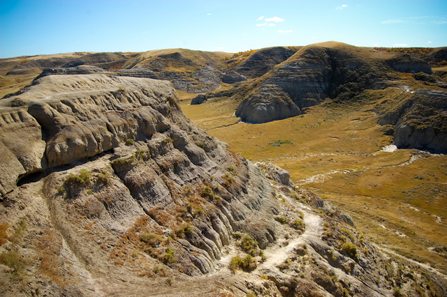 70 Million Years Ago