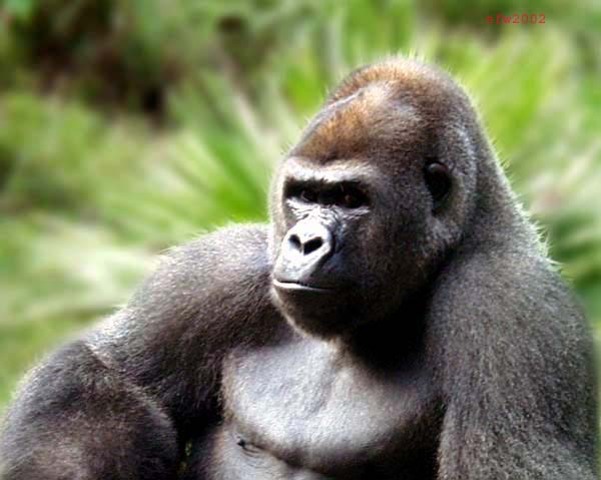 Valoración de avances.