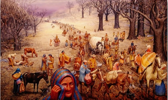 Worcester vs Georgia