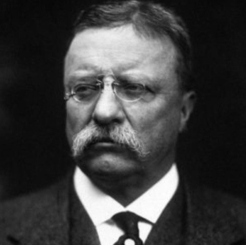 How Teddy Roosevelt helped us fix  bad trusts